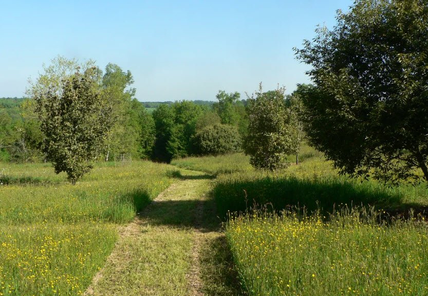 Les Pouyouleix, France, France